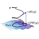 Classical periodic orbits reveal quantum many-body scars